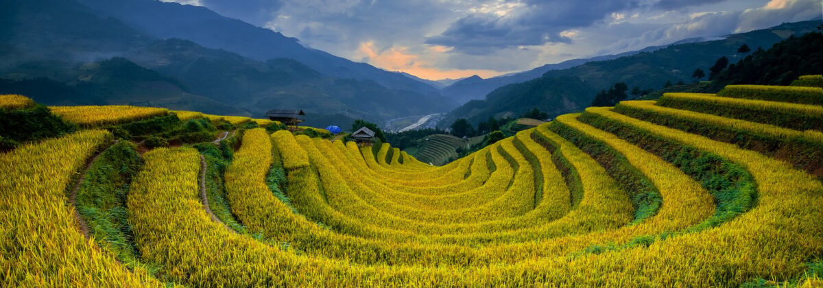 Vietnam
