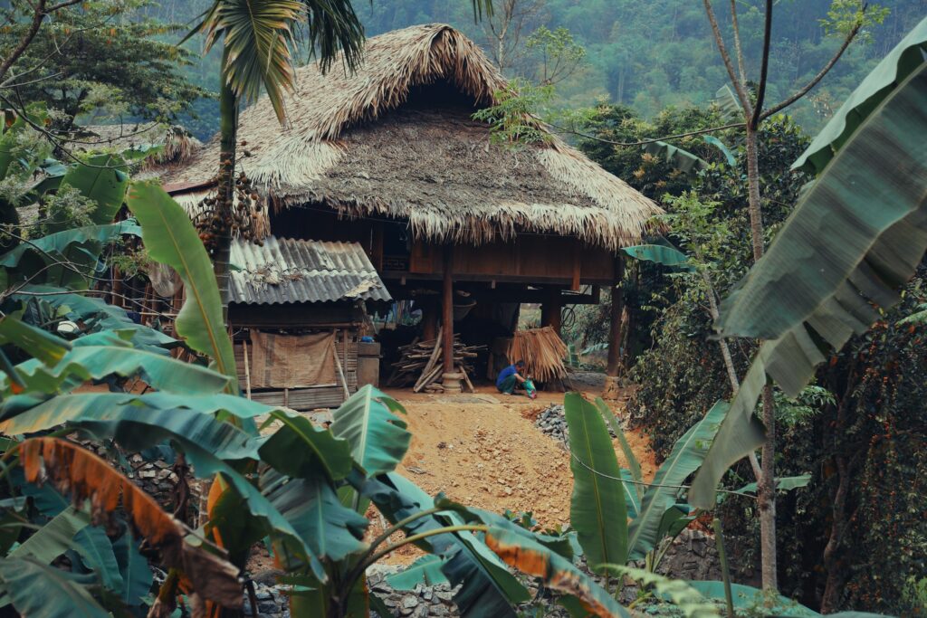 Rice terraces and bamboo waterwheels in the Pu Luong valley