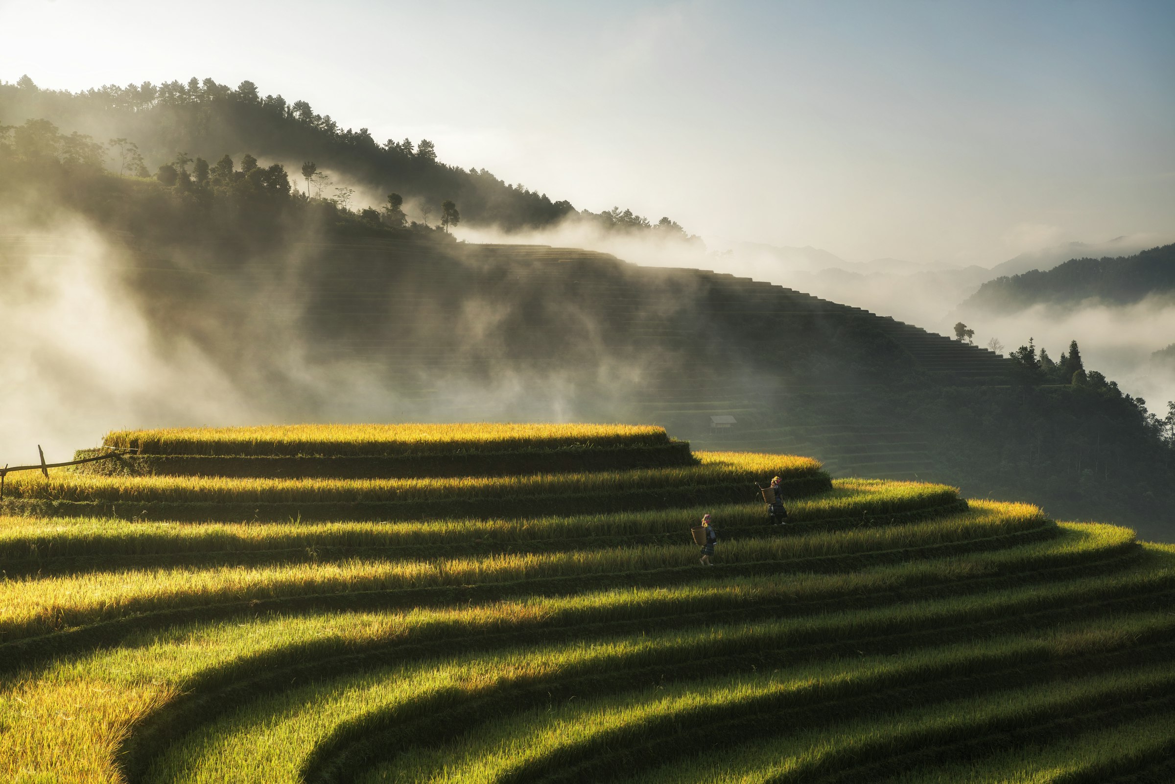 Cloud drifting through the valley below Sapa