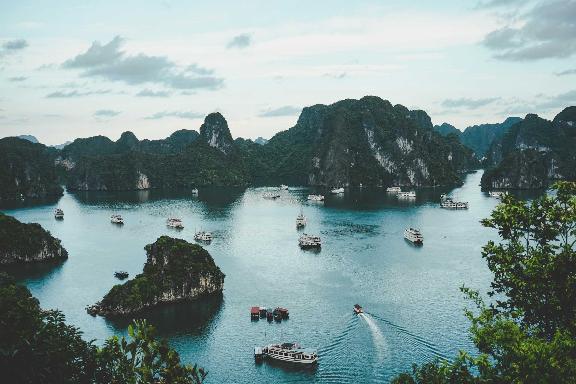 Halong Bay's limestone karsts rising from turquoise water