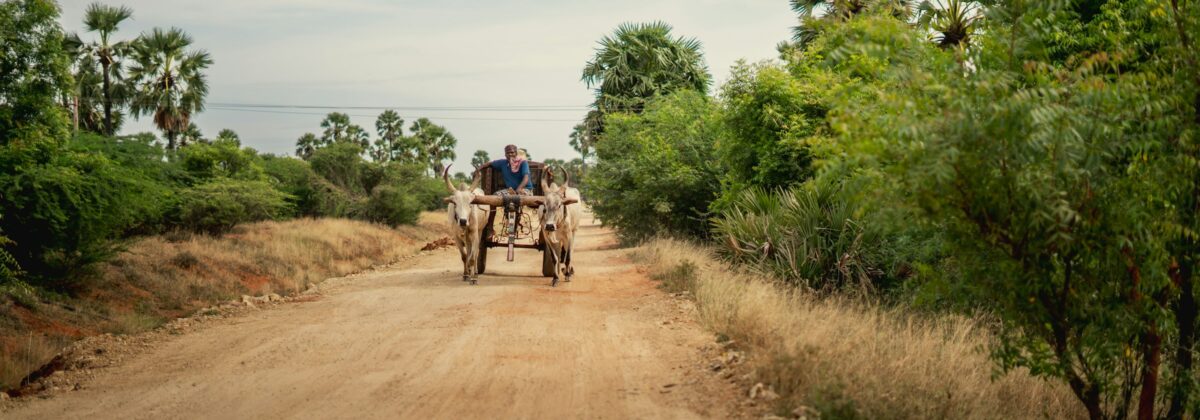 Cycling the Ho Chi Minh Trail: Hanoi to Hoi An