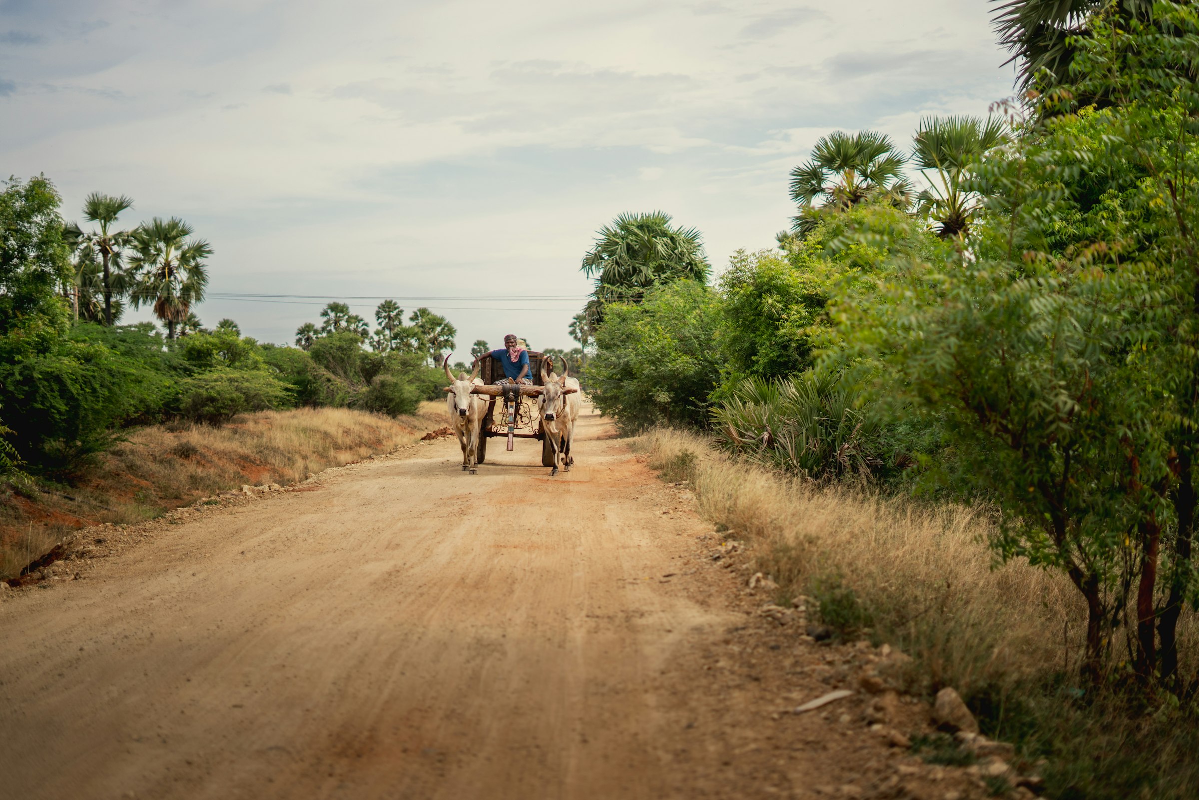 Riders on a rural lane through the Vietnamese countryside