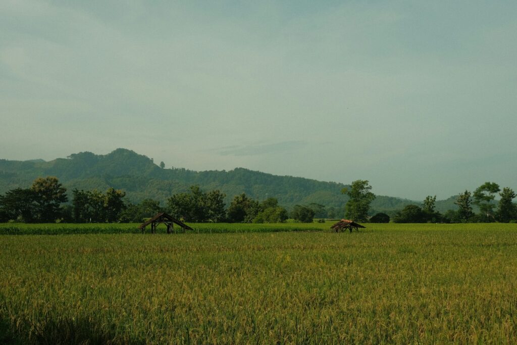 A cyclist pausing above a valley of terraced fields