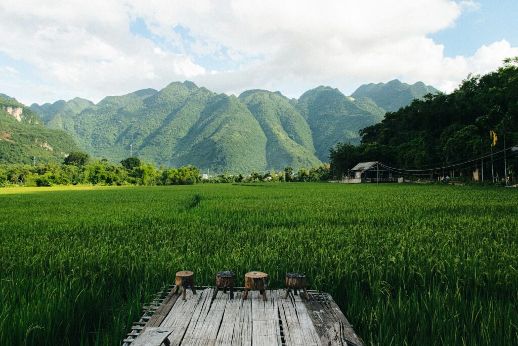 The green valley floor and stilt houses of Mai Chau