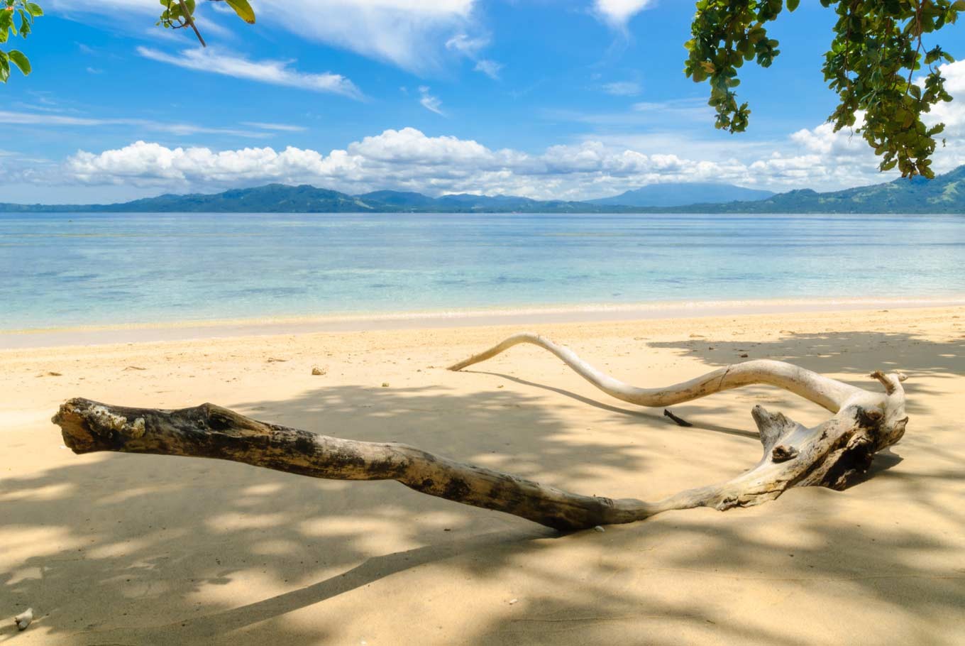 North Sulawesi: Wildlife & Reefs