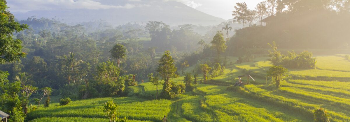 Bali Cycling Odyssey
