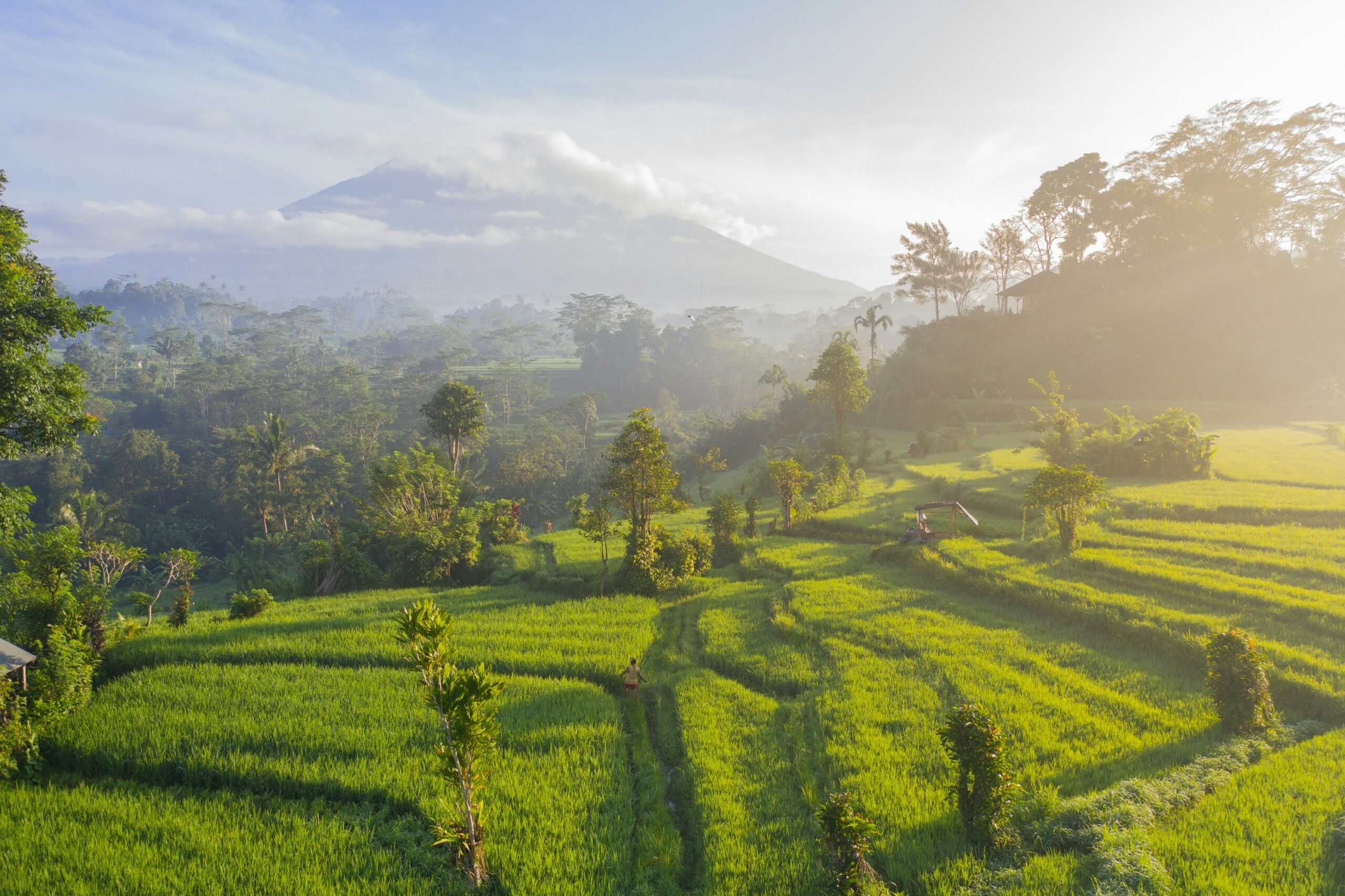 Bali Cycling Odyssey