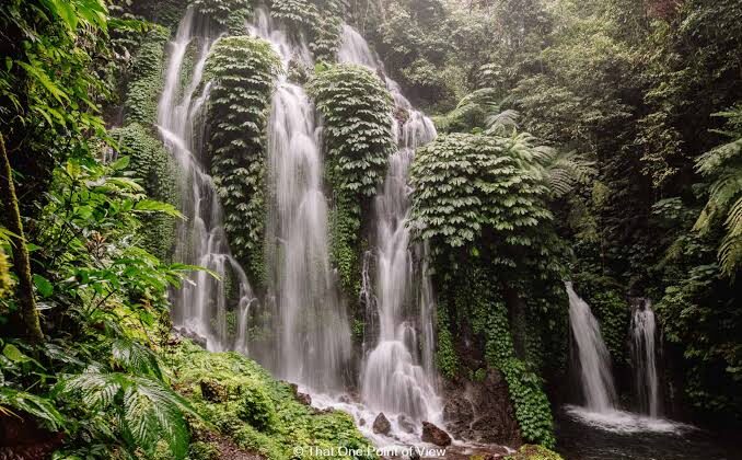Bali Uncovered