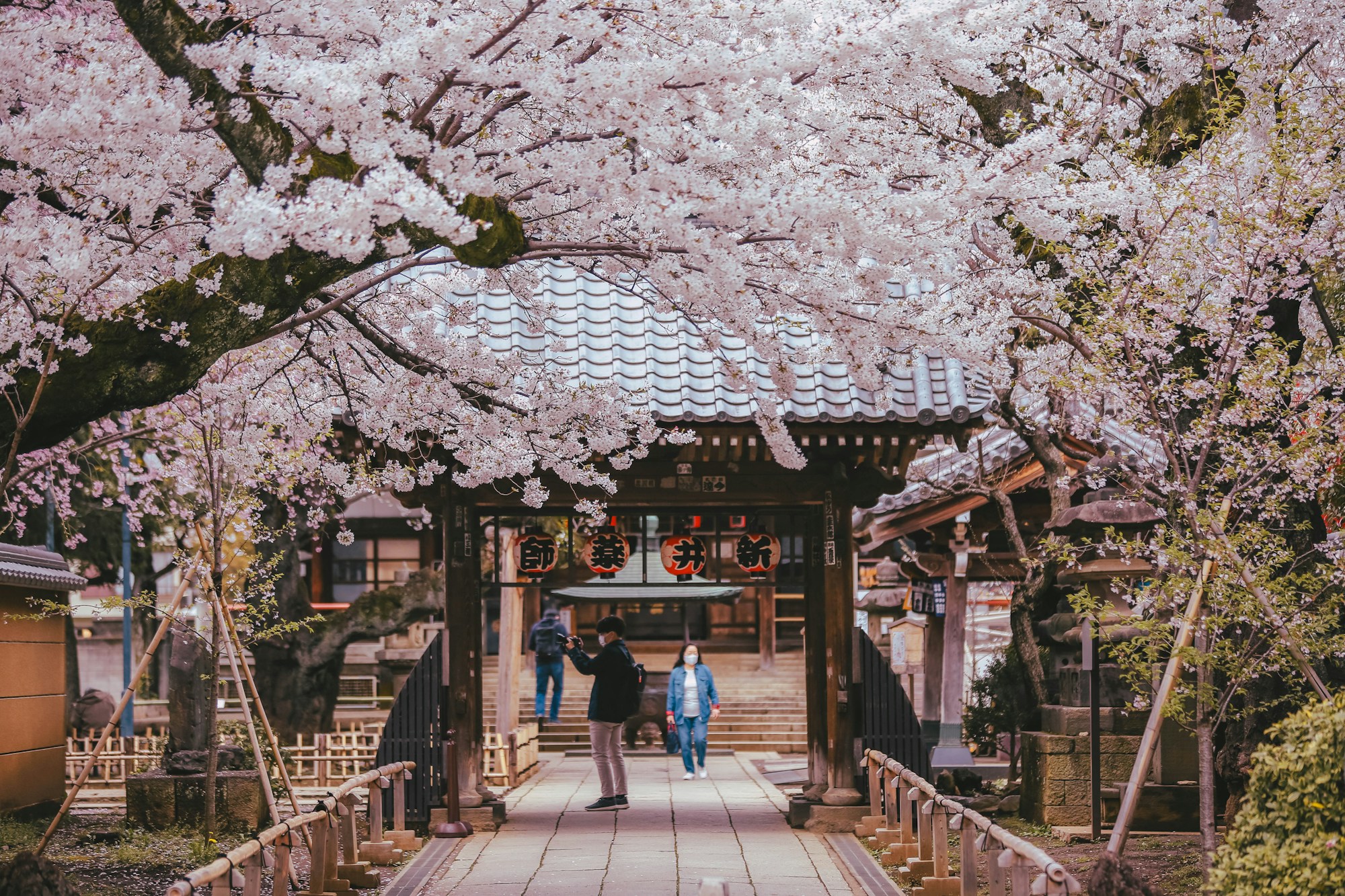 shrine person flat overcast — Japan: An Art & Culture Journey