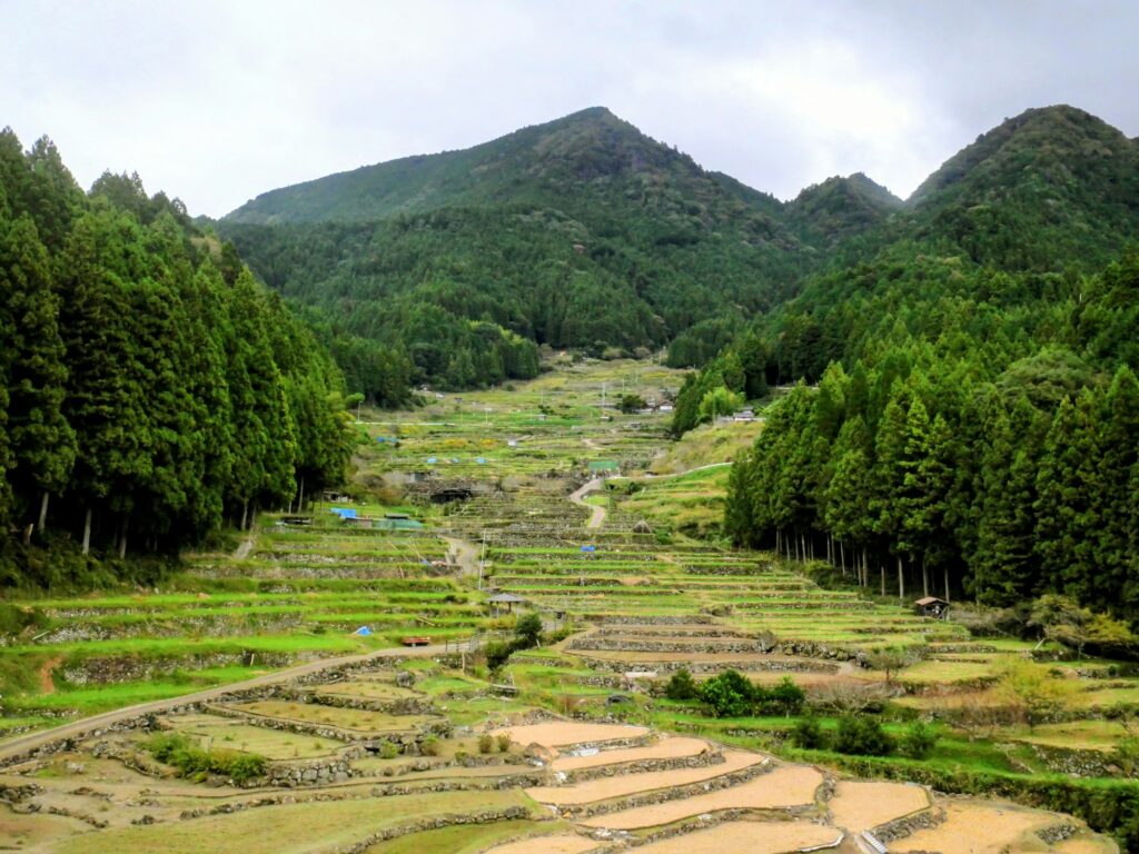 Kyushu countryside rice terrace