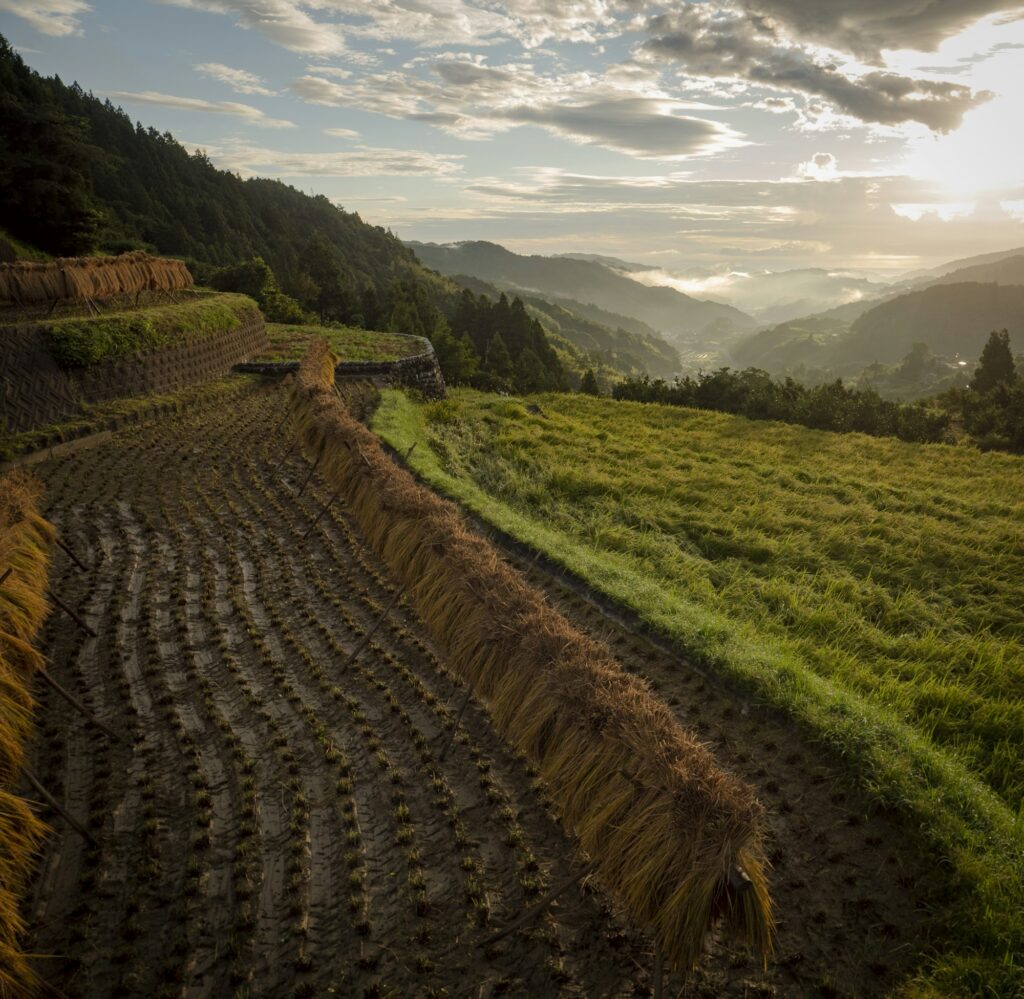 Japan hillside village terraces