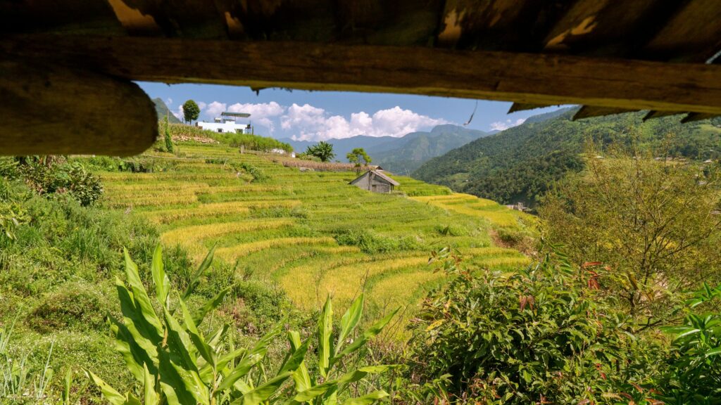 Narrow paths threading through terraced fields in the hills