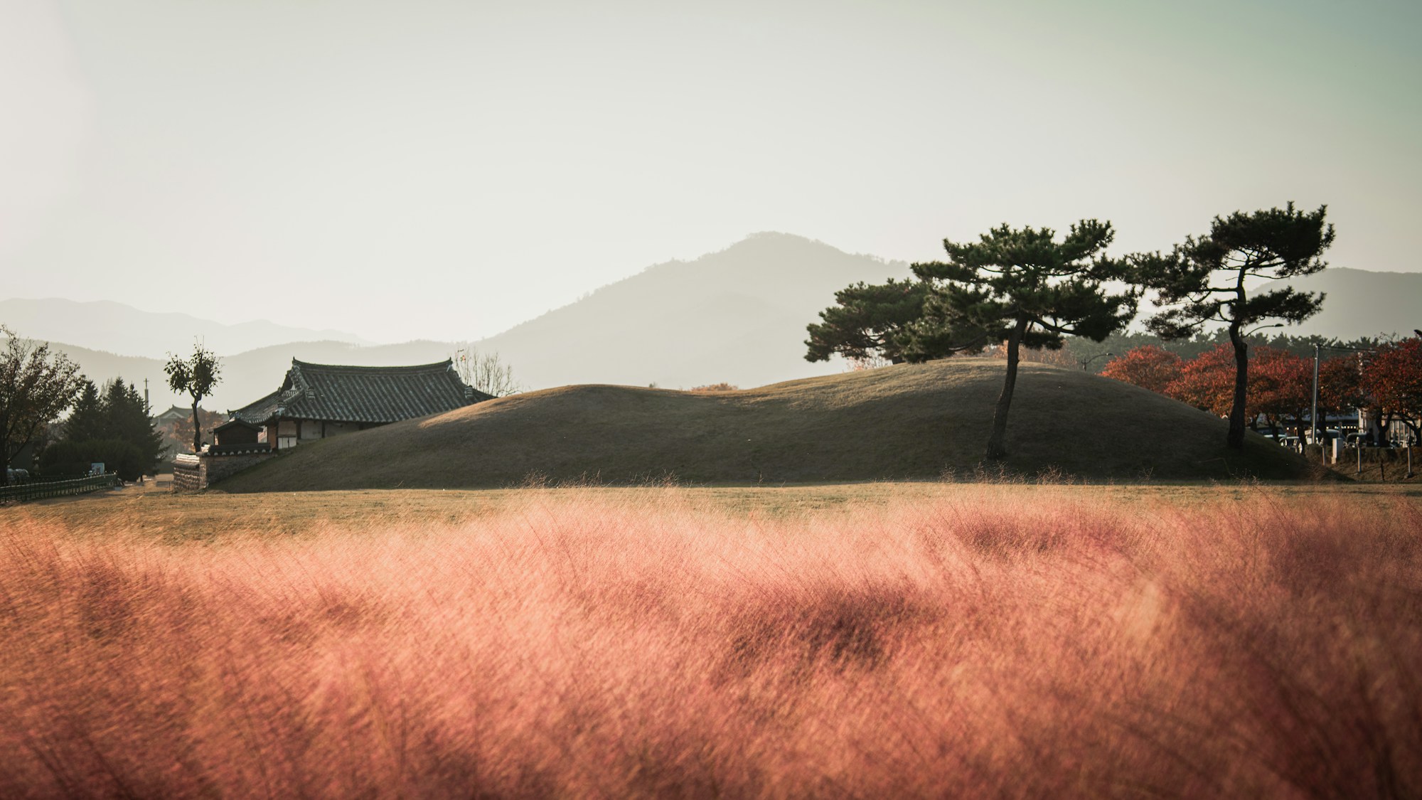 Royal tombs of Gyeongju at golden hour — Martial Arts & Monks: Golgulsa