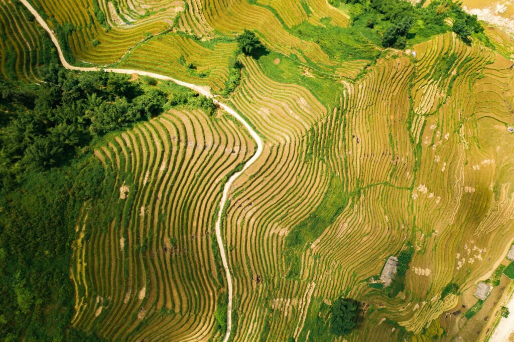 Looking down on terraced fields and river valleys from the air