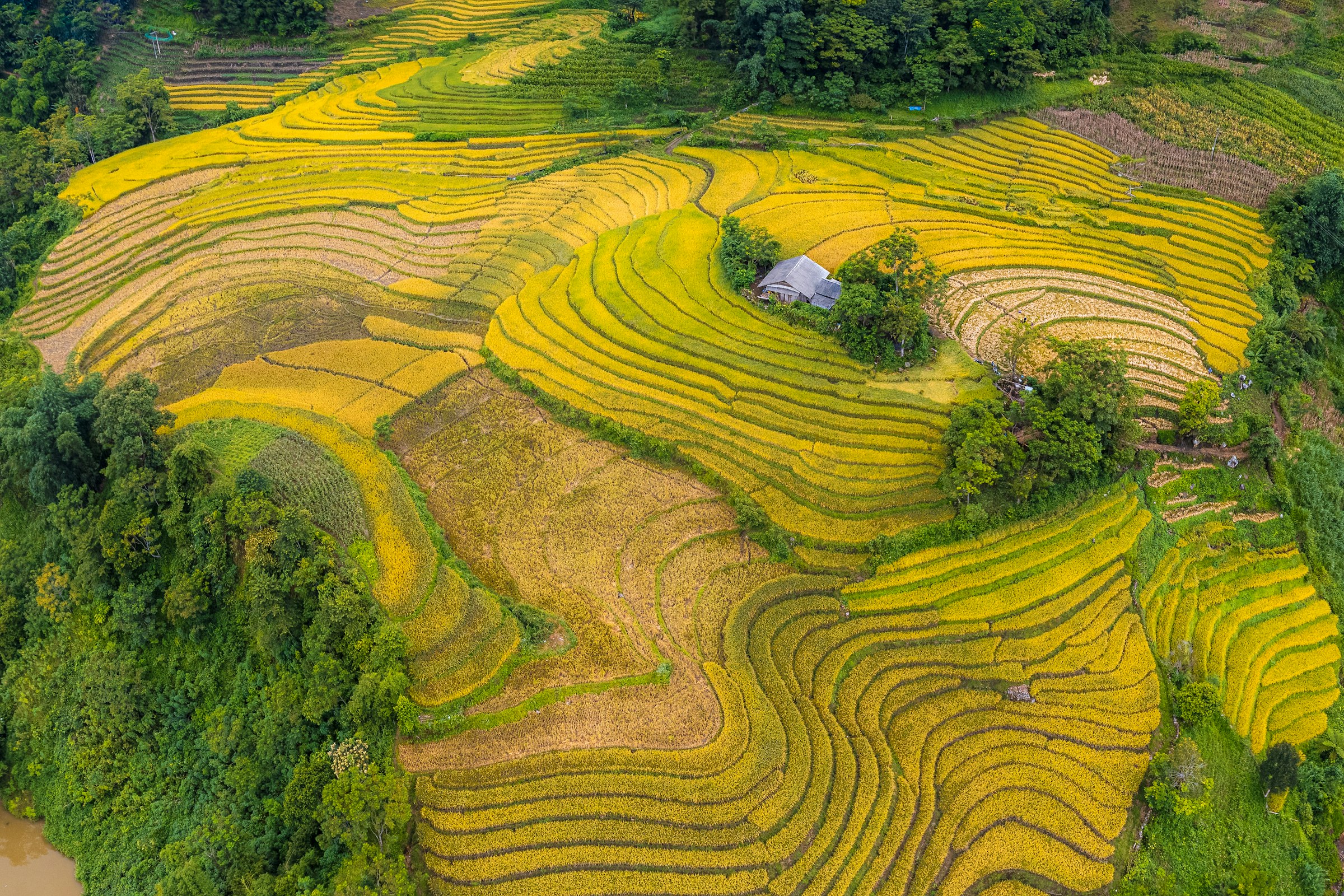 A sweeping aerial view across the northern Vietnamese countryside