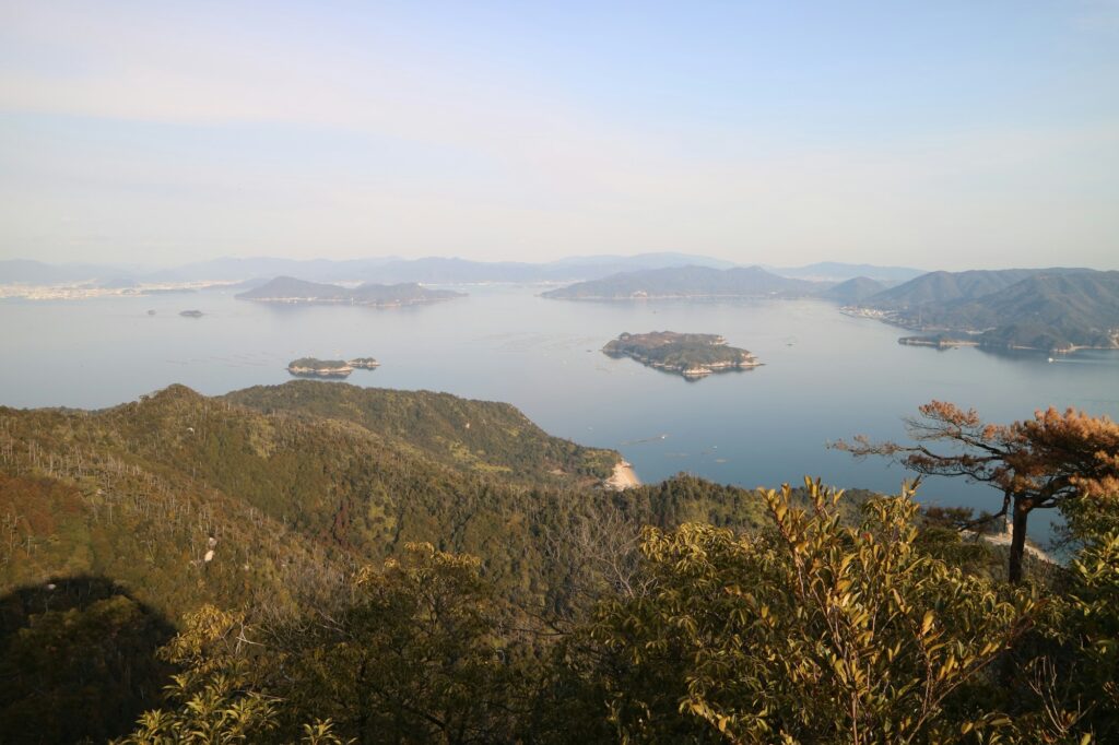 Miyajima island forest