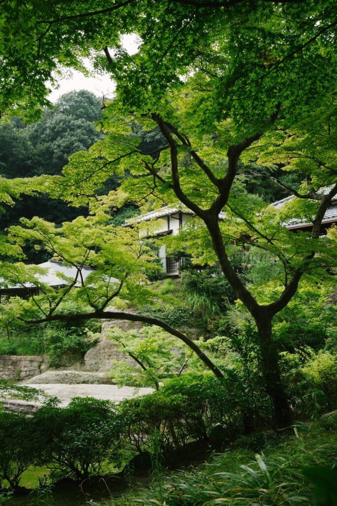 Japanese ryokan mountain onsen