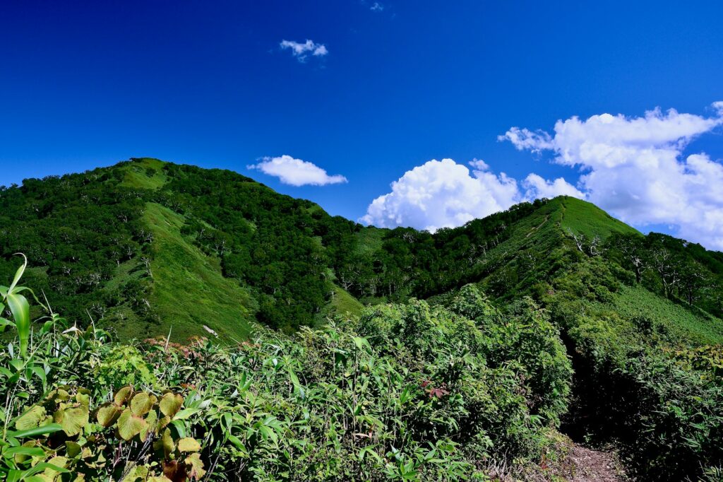 Central Japan alpine trail