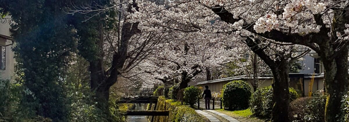 Cycling the Kansai Backroads
