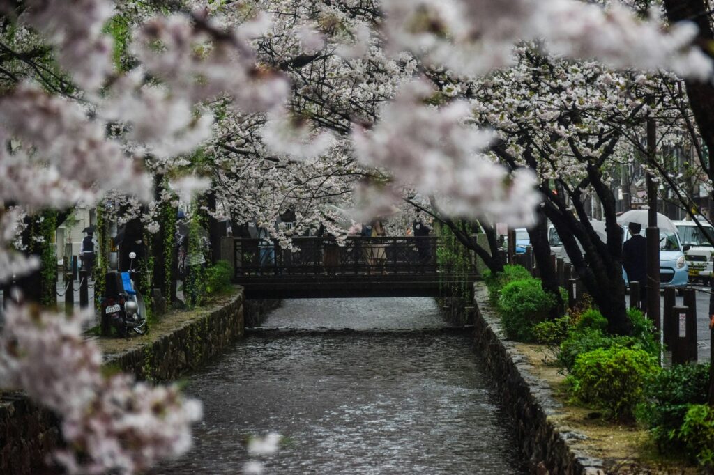 snowy flat overcast — Japan: A Family Journey