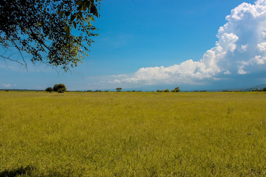 Sumba savanna highlands clear day
