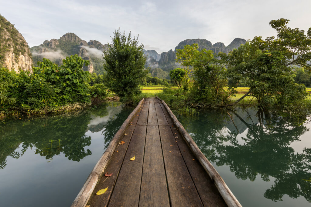 Wooden footbridge crossing a jungle stream