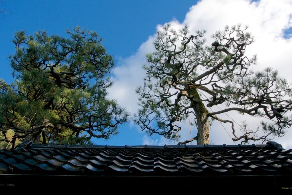 Nagamachi buke yashiki - samurai residence in Kanazawa - Flickr - odako1