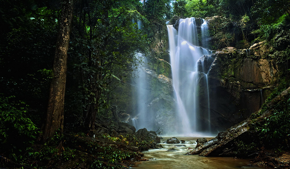 Wild North Thailand